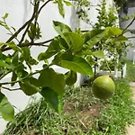 Grand Royal 4* Pompei