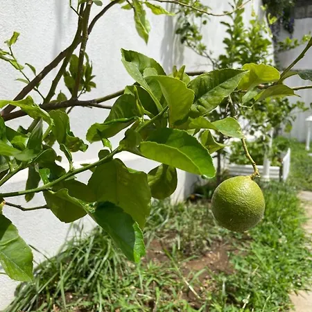 Grand Royal 4* Помпеи