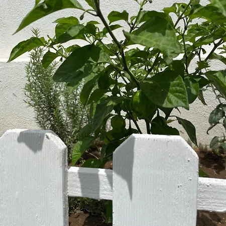 Grand Royal Szálloda 4*