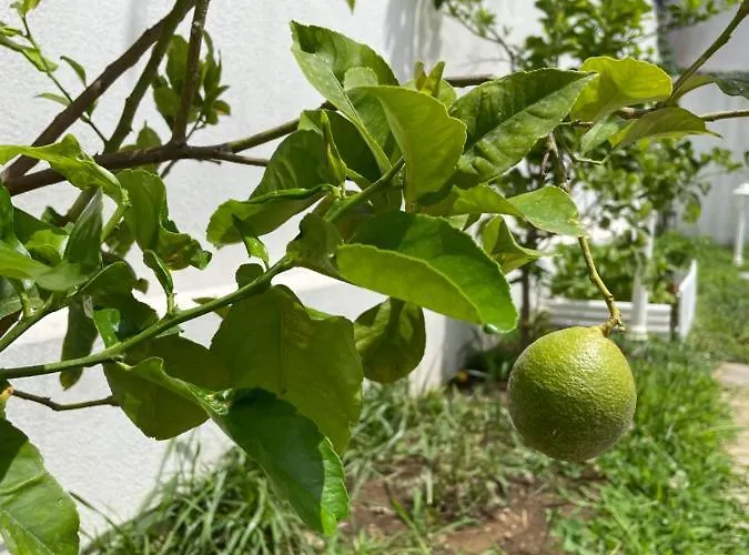 Grand Royal 4* Pompei